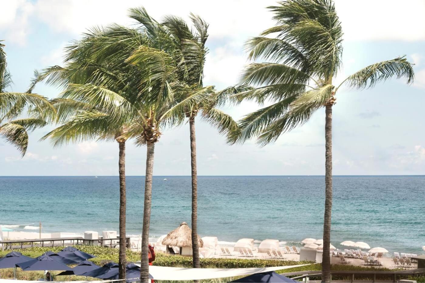 Beach Club At The Boca Raton Exterior foto